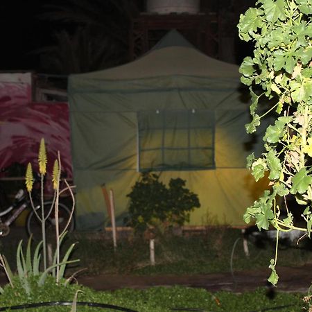 אריקה Hostel La Posada Gallo מראה חיצוני תמונה