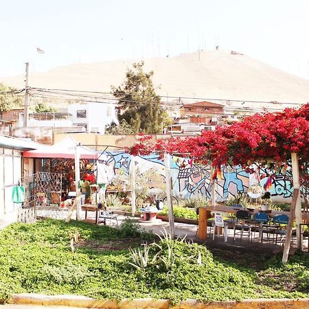 אריקה Hostel La Posada Gallo מראה חיצוני תמונה