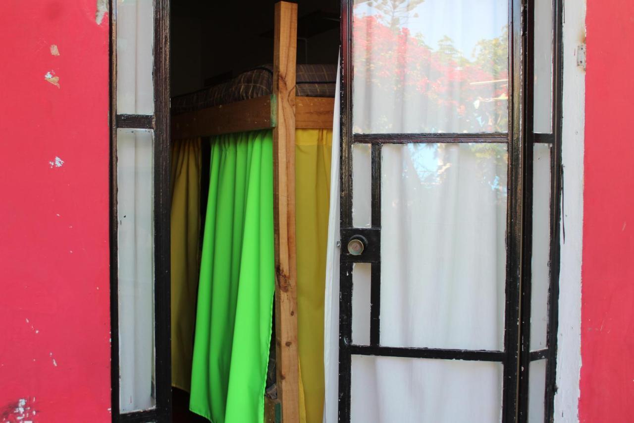 אריקה Hostel La Posada Gallo מראה חיצוני תמונה