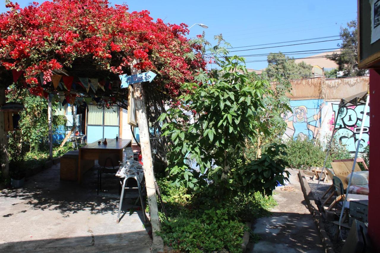 אריקה Hostel La Posada Gallo מראה חיצוני תמונה
