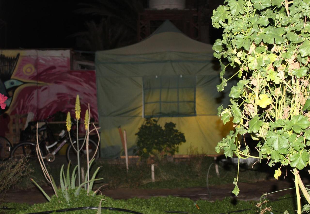 אריקה Hostel La Posada Gallo מראה חיצוני תמונה