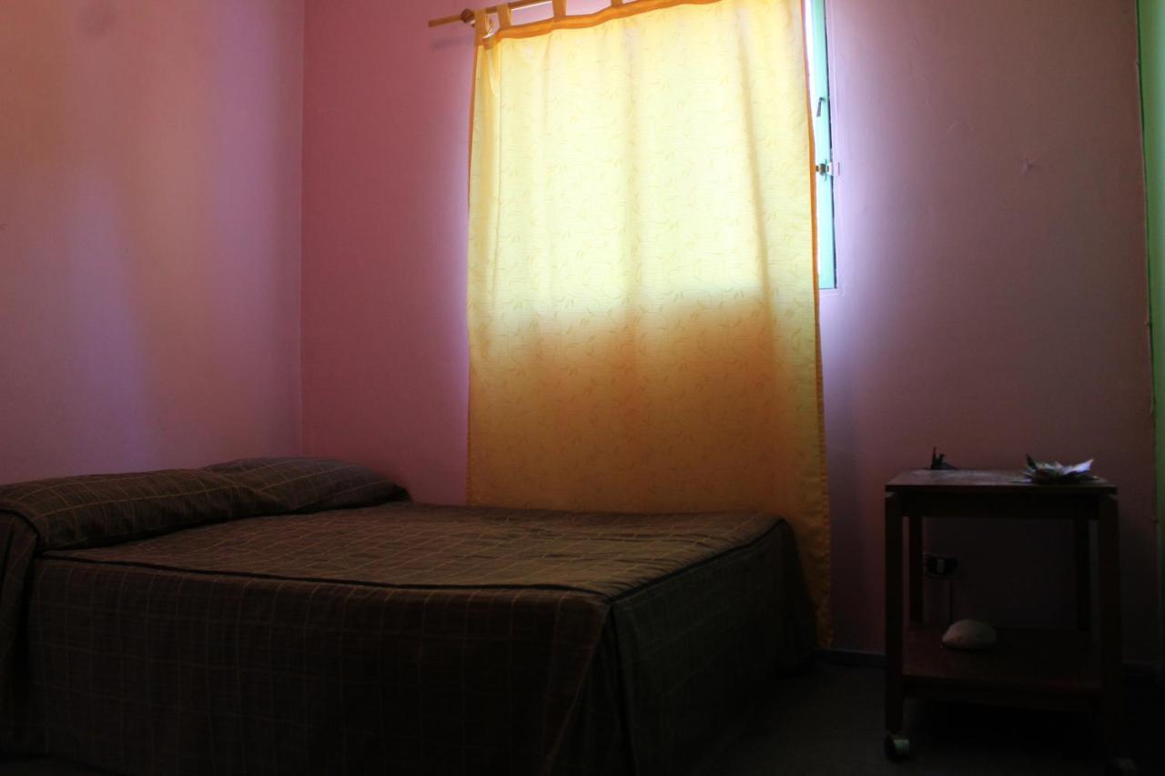 אריקה Hostel La Posada Gallo מראה חיצוני תמונה