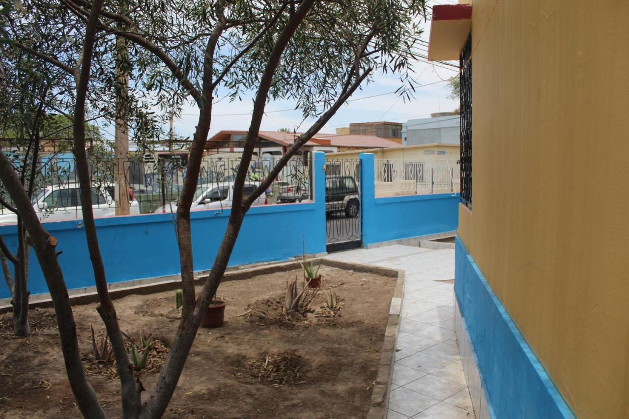 אריקה Hostel La Posada Gallo מראה חיצוני תמונה
