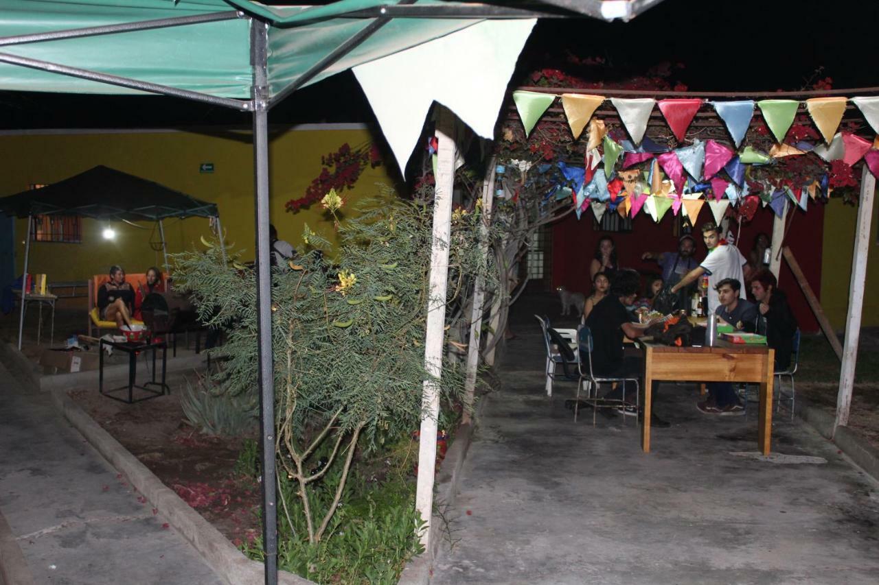 אריקה Hostel La Posada Gallo מראה חיצוני תמונה