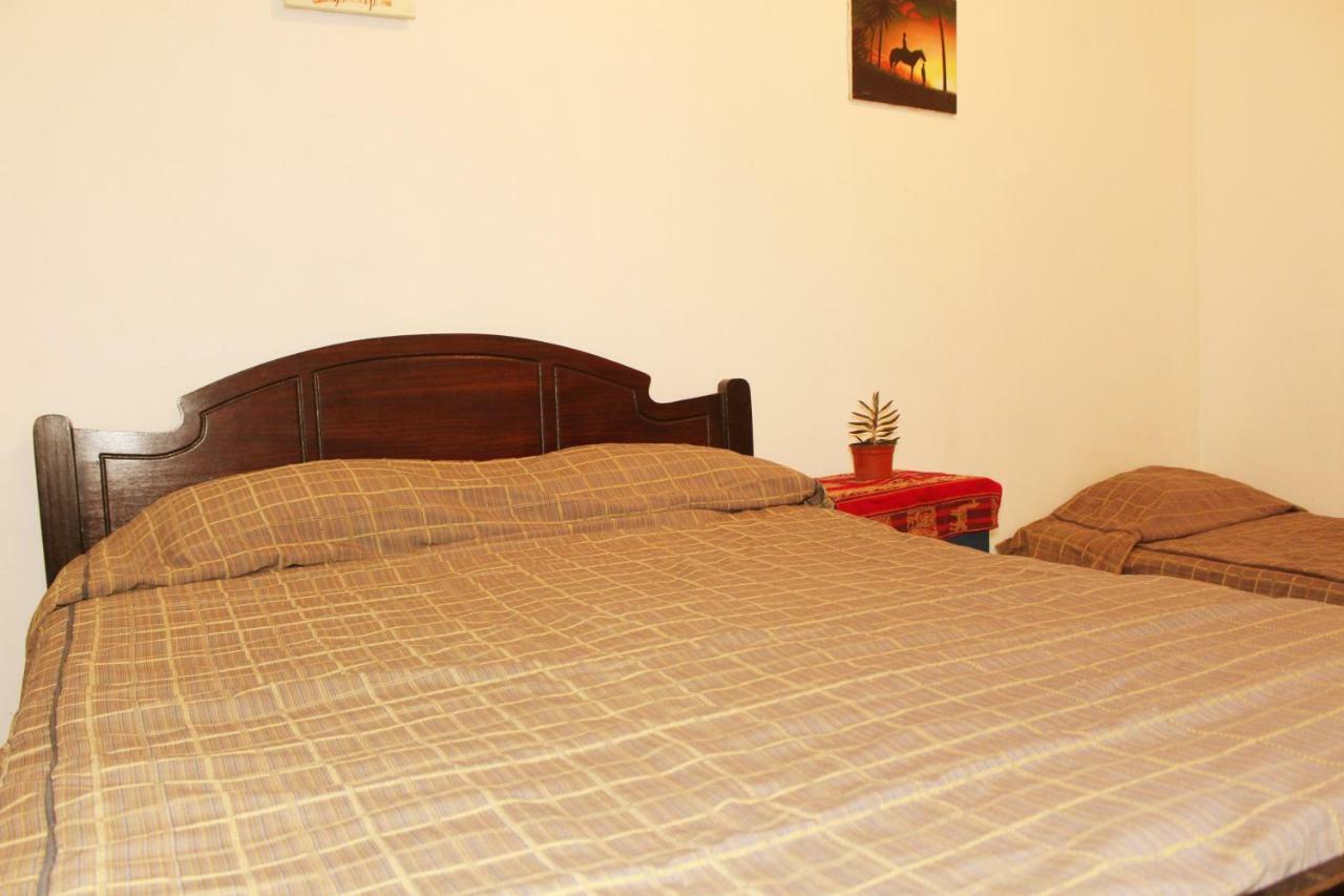 אריקה Hostel La Posada Gallo מראה חיצוני תמונה