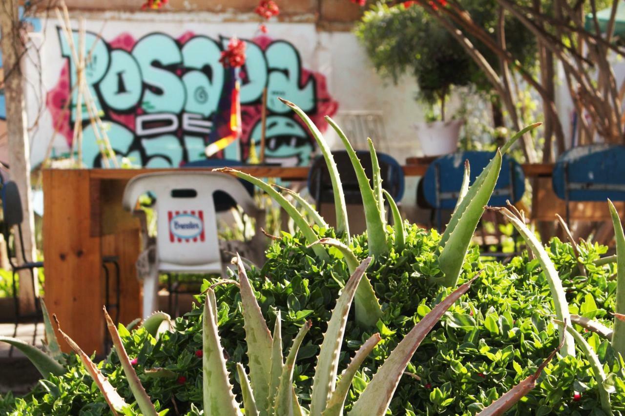 אריקה Hostel La Posada Gallo מראה חיצוני תמונה