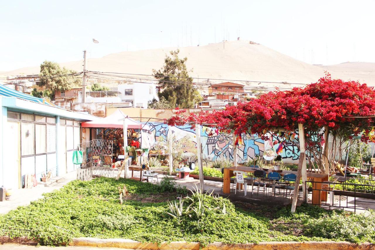 אריקה Hostel La Posada Gallo מראה חיצוני תמונה