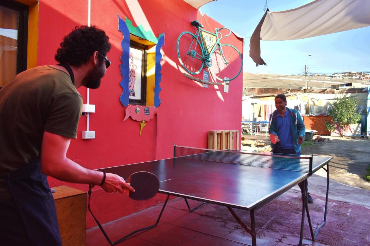 אריקה Hostel La Posada Gallo מראה חיצוני תמונה