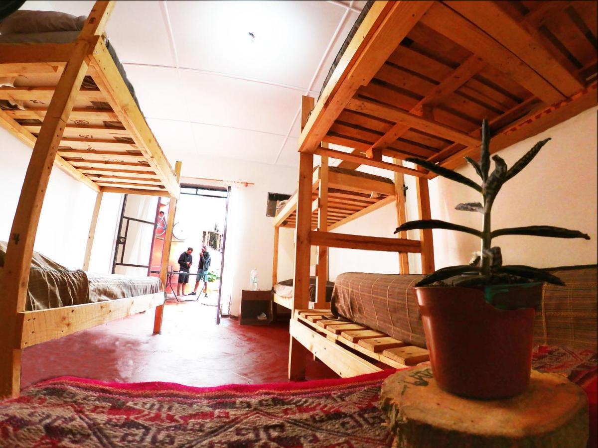אריקה Hostel La Posada Gallo מראה חיצוני תמונה